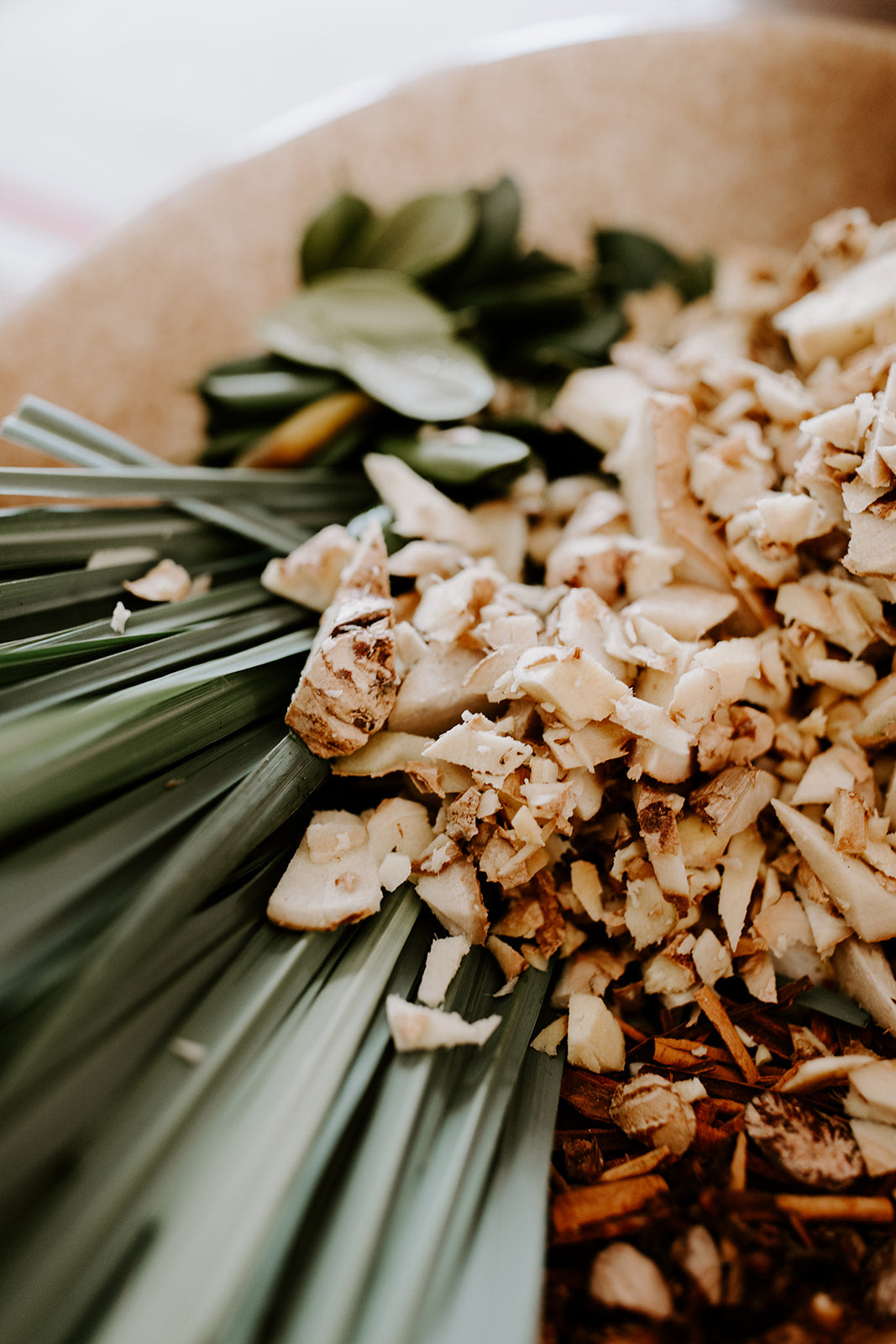 Herbal Caribbean Bush